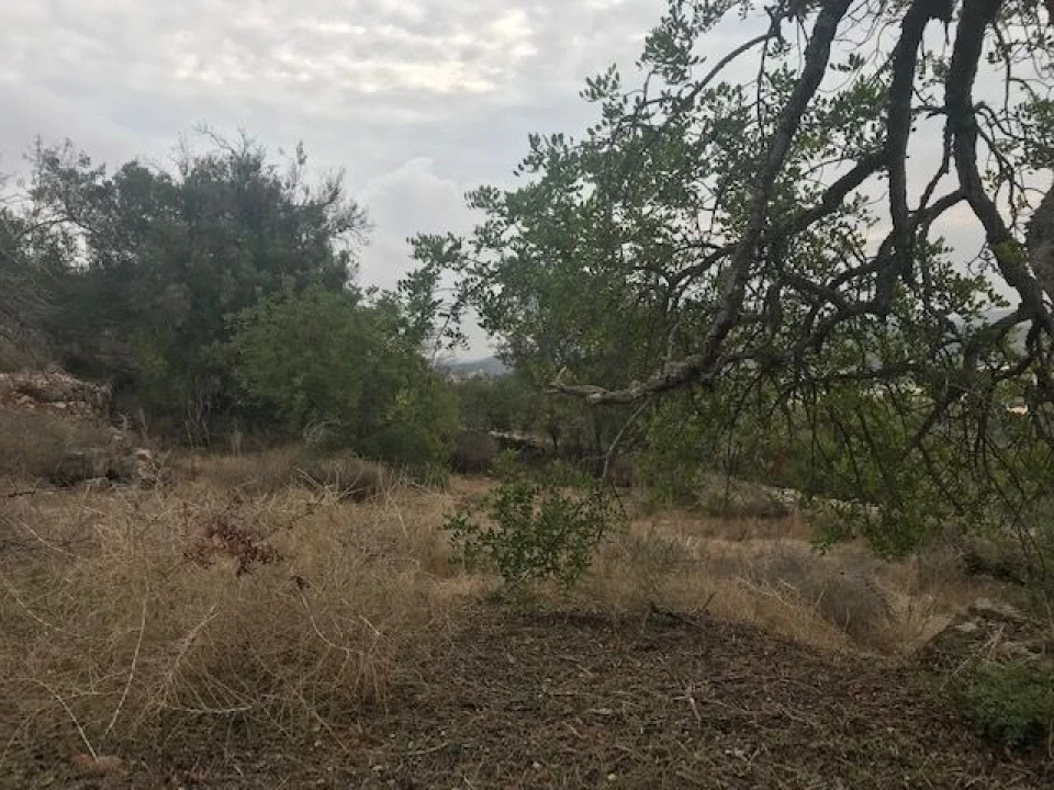 Moradia T4 para Venda em Paderne Foto 33