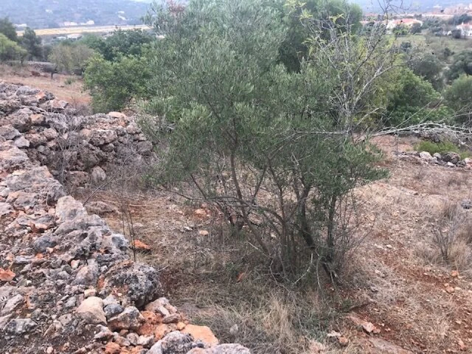 Moradia T4 para Venda em Paderne Foto 35