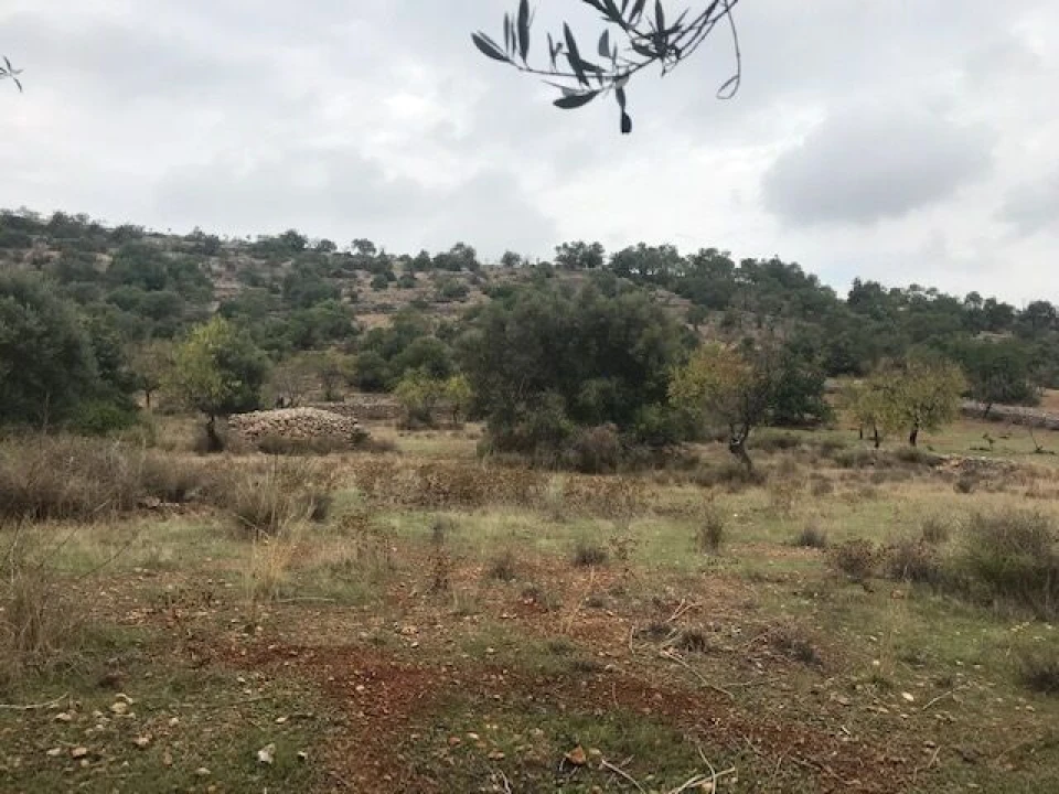 Moradia T4 para Venda em Paderne Foto 36