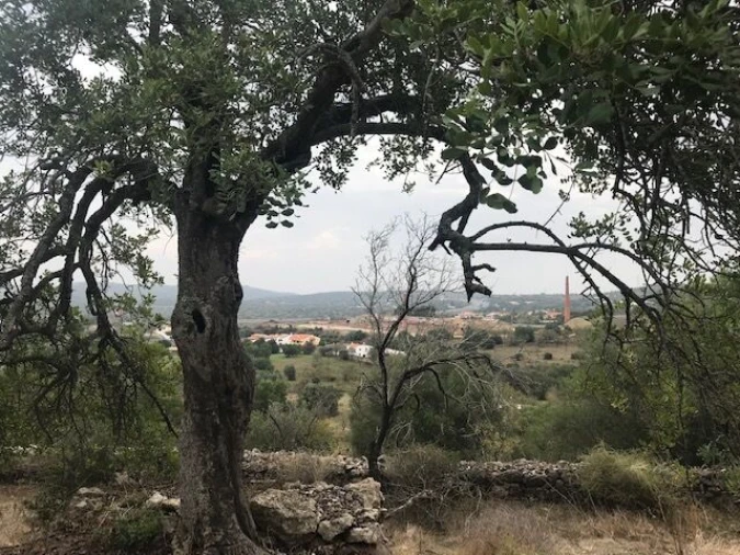 Moradia T4 para Venda em Paderne Foto 4