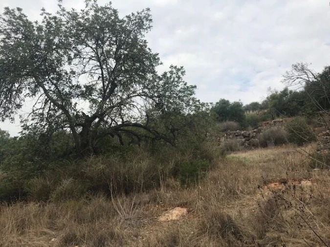 Moradia T4 para Venda em Paderne Foto 28