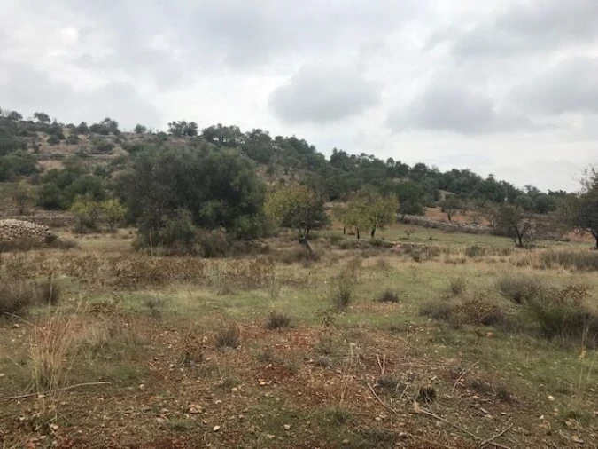 Moradia T4 para Venda em Paderne Foto 37