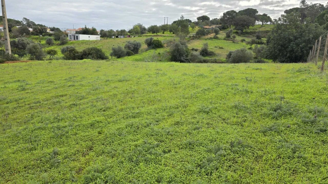 Terreno para Venda em Porches Foto 5