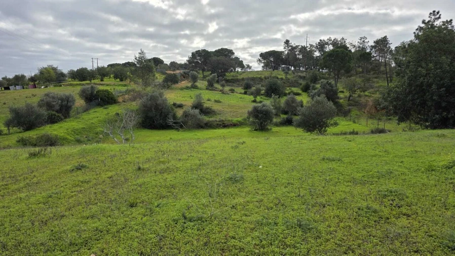 Terreno para Venda em Porches Foto 4
