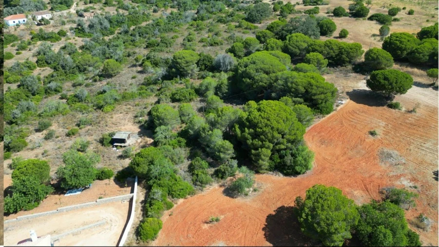 Terreno para Venda em Armação de Pera Foto 4