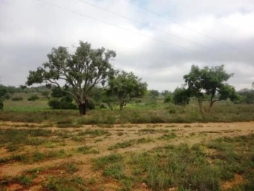Terreno para Venda em Alcantarilha e Pêra