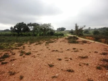 Terreno para Venda em Alcantarilha e Pêra