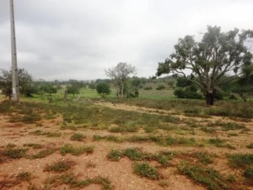 Terreno para Venda em Alcantarilha e Pêra