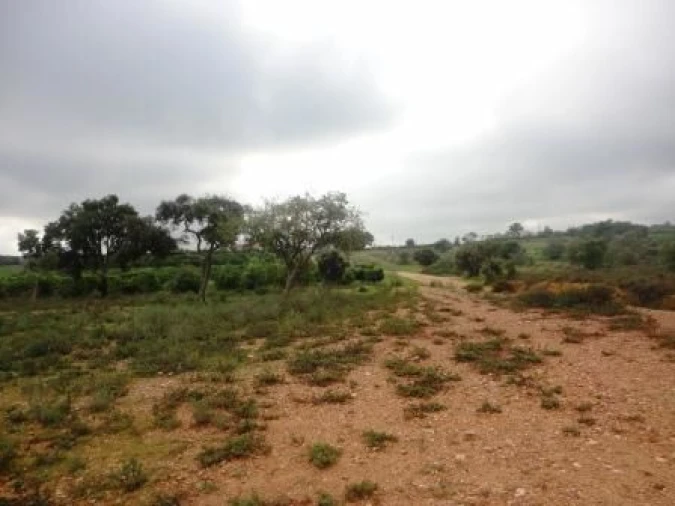 Terreno para Venda em Alcantarilha e Pêra Foto 2