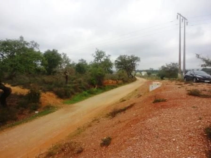 Terreno para Venda em Alcantarilha e Pêra Foto 5