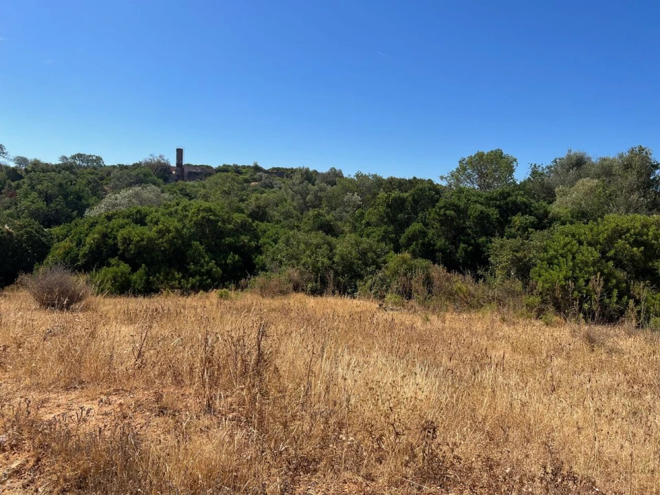 Terreno para Venda em Ferreiras Foto 2