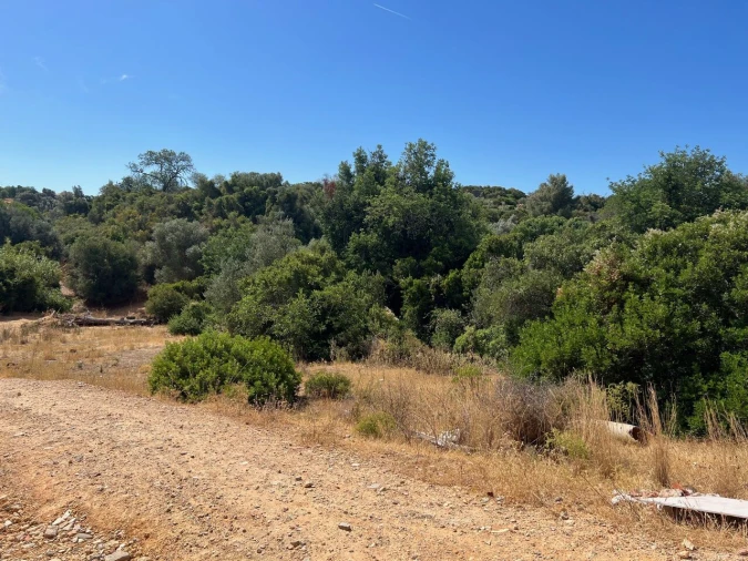 Terreno para Venda em Ferreiras