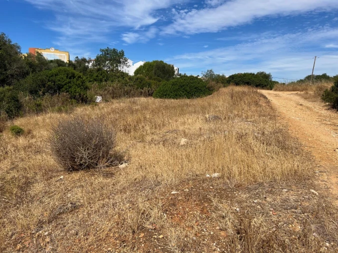 Terreno para Venda em Ferreiras Foto 6