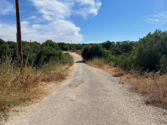 Terreno para Venda em Ferreiras Foto 8