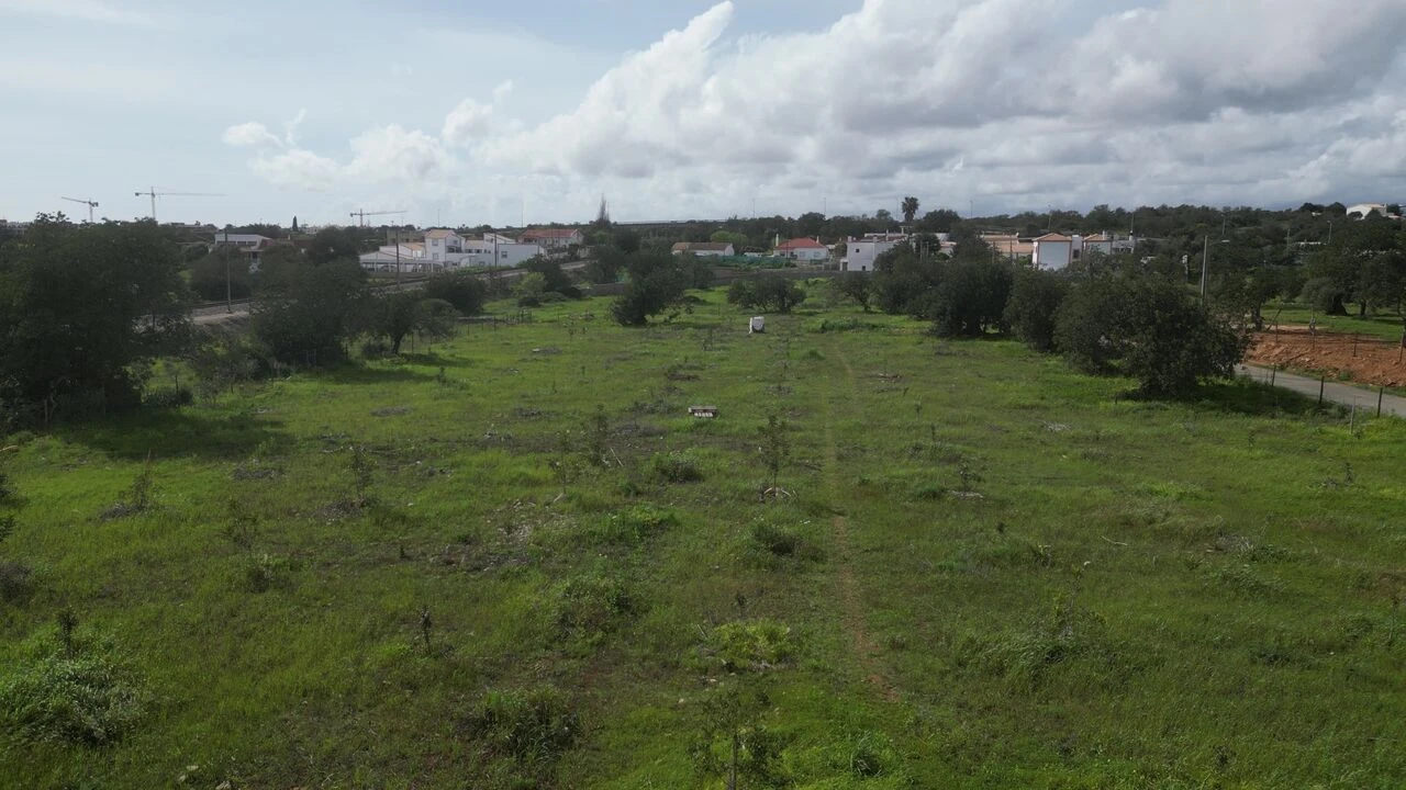 Terreno para Venda em Ferreiras Foto 11