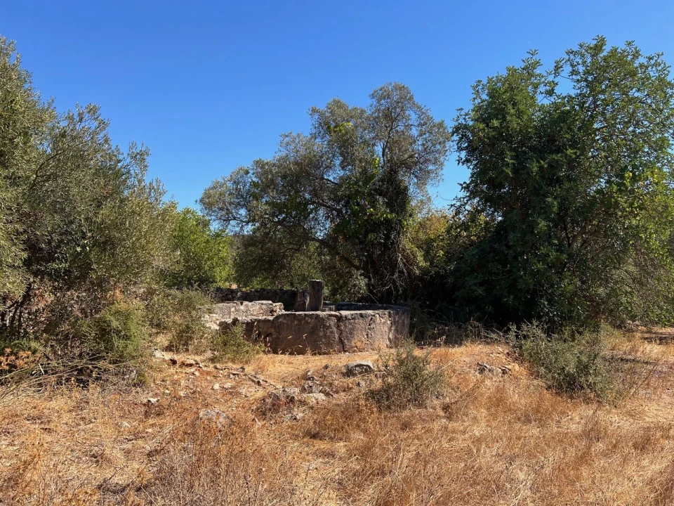 Terreno para Venda em Paderne Foto 1
