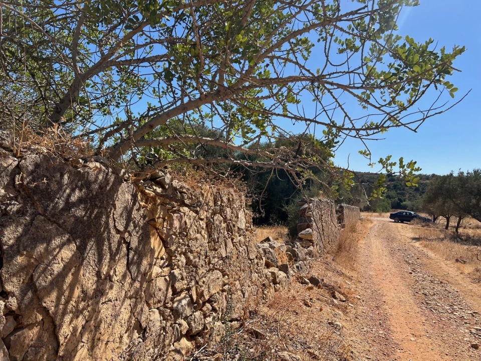 Terreno para Venda em Paderne Foto 5