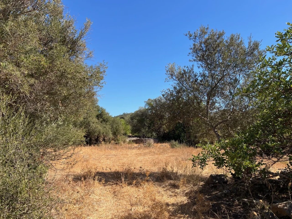 Terreno para Venda em Paderne Foto 7