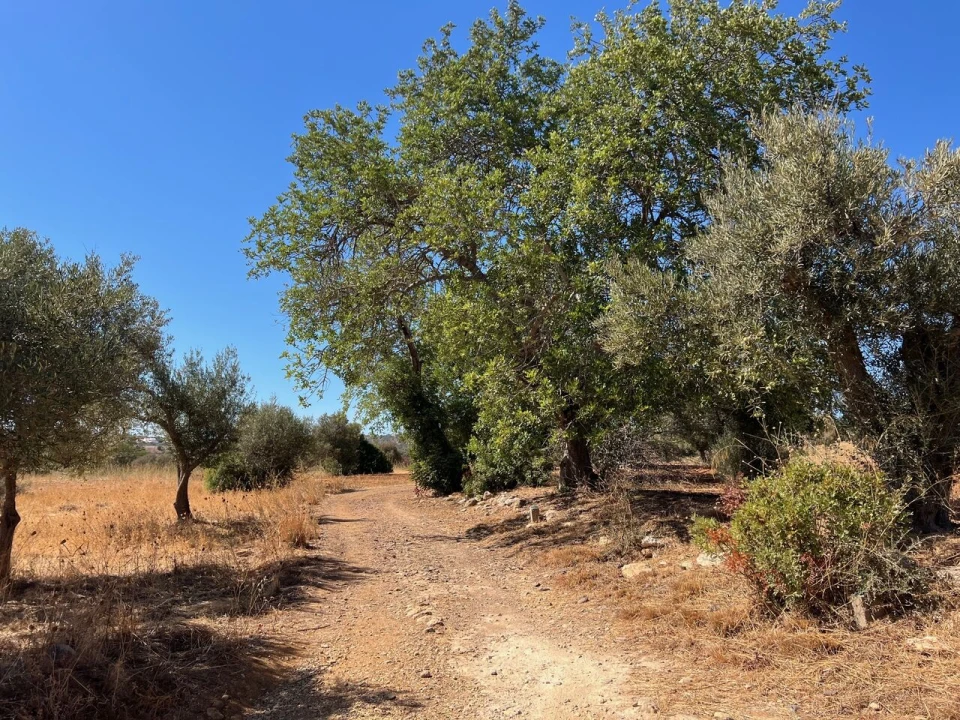 Terreno para Venda em Paderne Foto 11