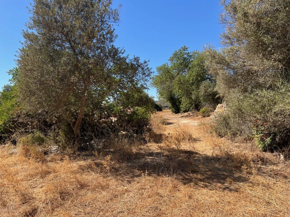 Terreno para Venda em Paderne Foto 15