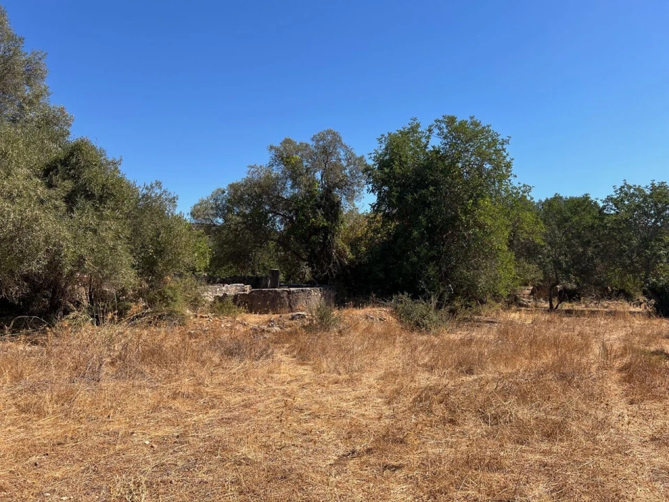 Terreno para Venda em Paderne Foto 16