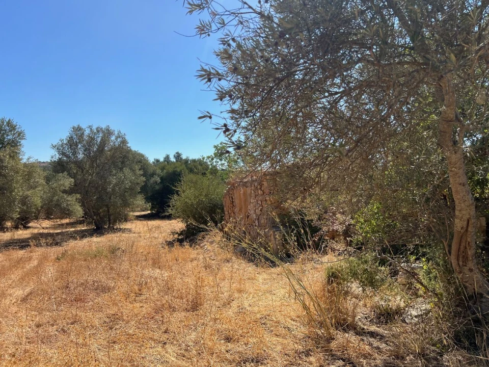 Terreno para Venda em Paderne Foto 18