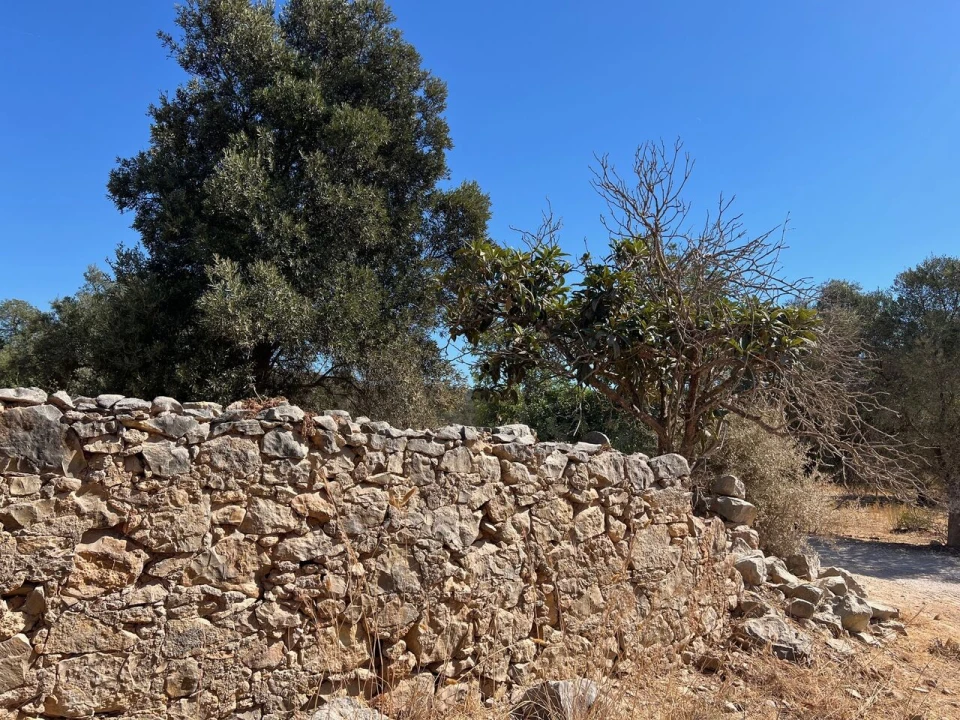 Terreno para Venda em Paderne Foto 21