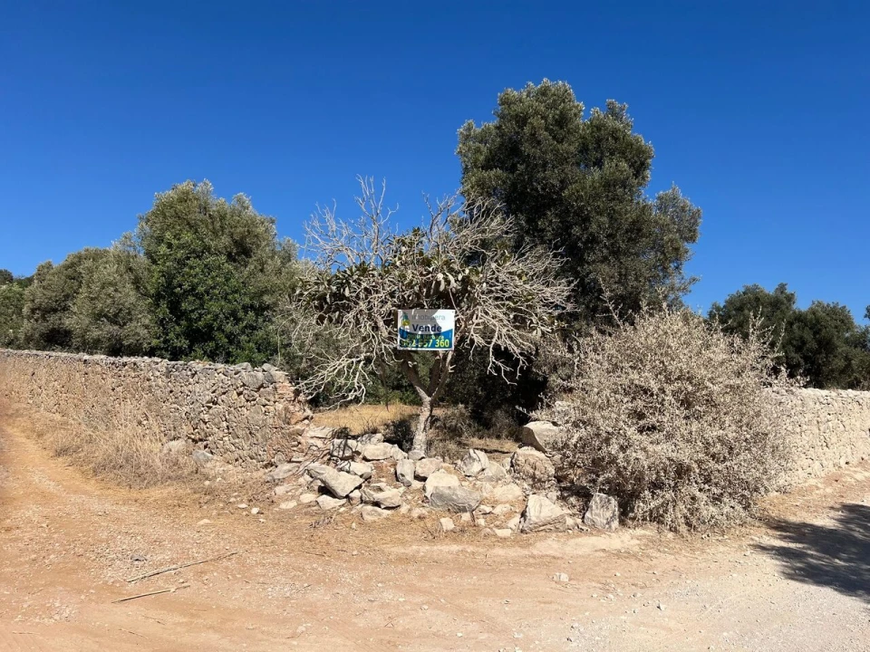 Terreno para Venda em Paderne Foto 22