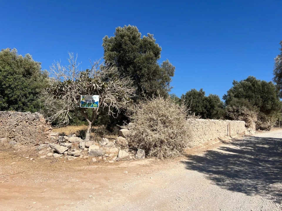 Terreno para Venda em Paderne Foto 24