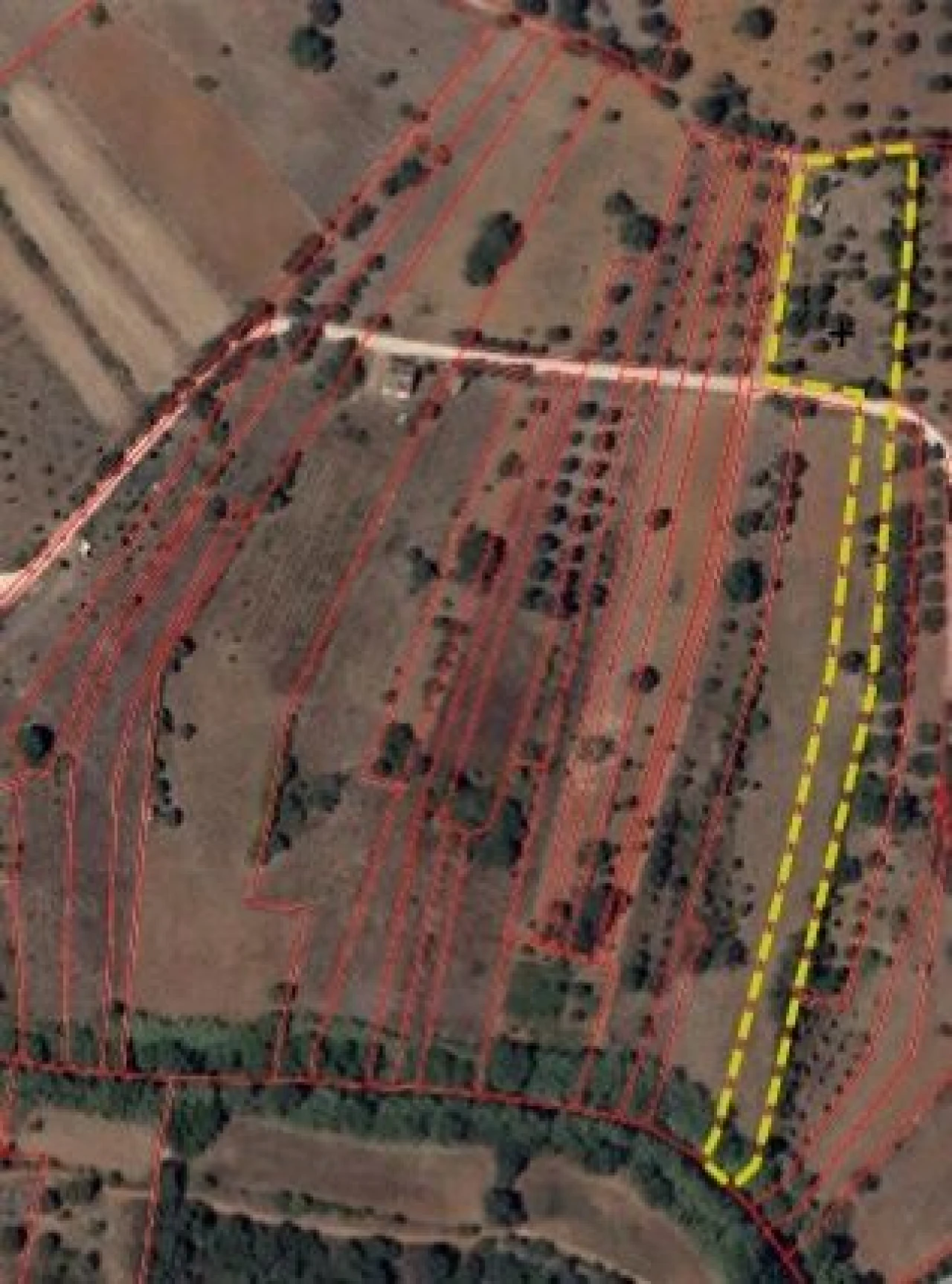 Terreno para Venda em Paderne Foto 25