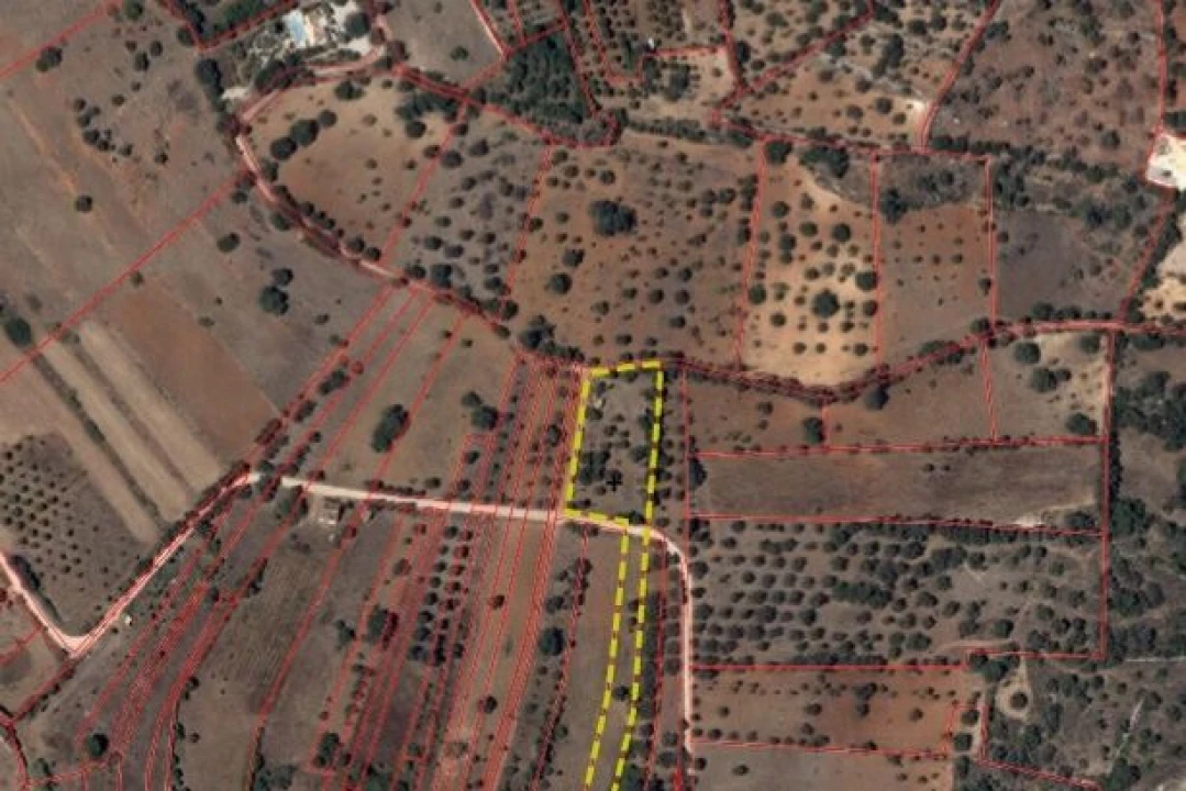 Terreno para Venda em Paderne Foto 26