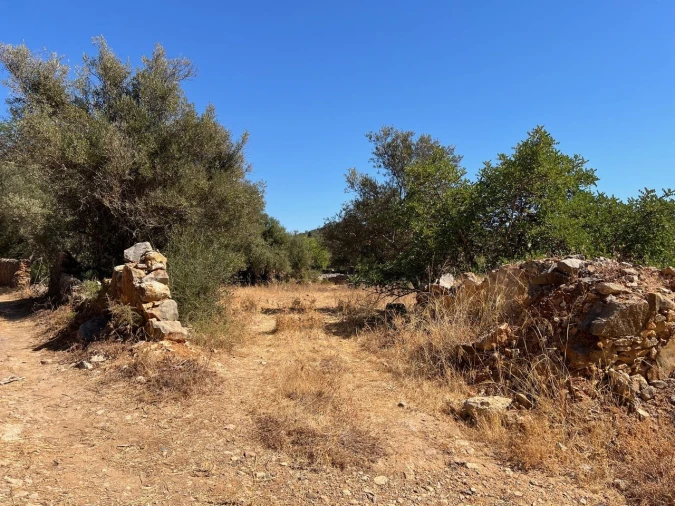 Terreno para Venda em Paderne Foto 4