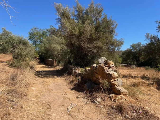 Terreno para Venda em Paderne Foto 6