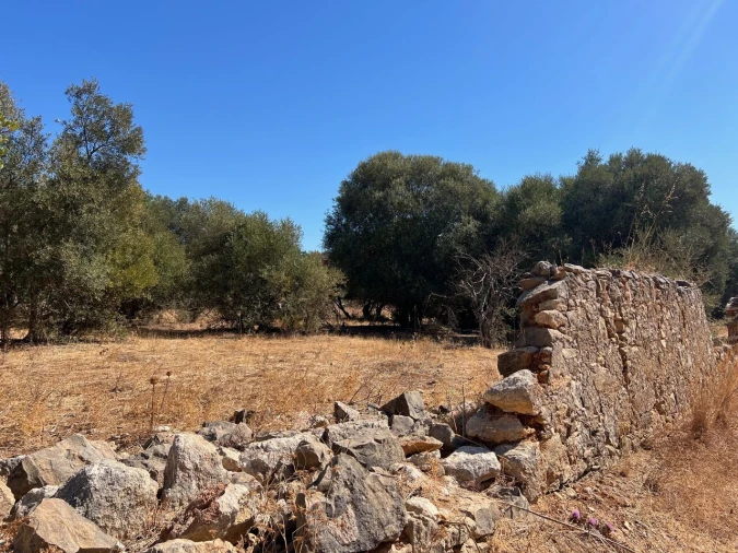 Terreno para Venda em Paderne Foto 2