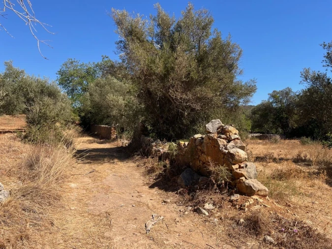 Terreno para Venda em Paderne Foto 10