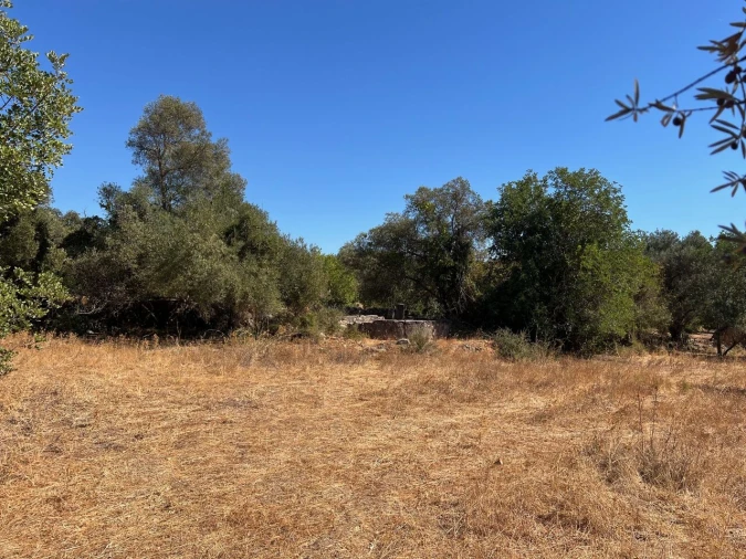Terreno para Venda em Paderne Foto 13