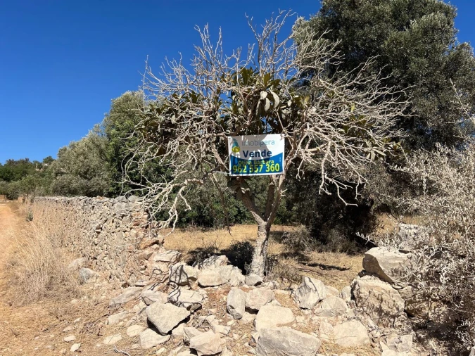 Terreno para Venda em Paderne Foto 23