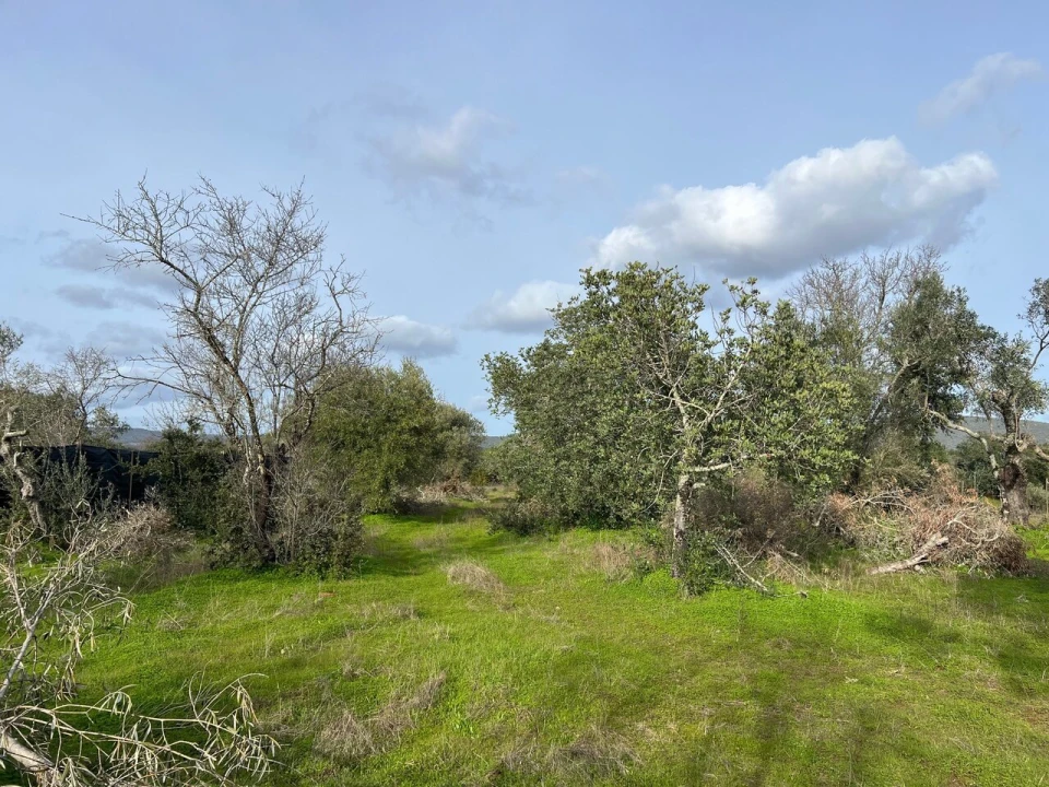 Terreno para Venda em Paderne Foto 6