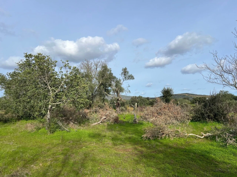 Terreno para Venda em Paderne Foto 8