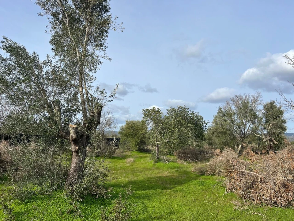 Terreno para Venda em Paderne Foto 9