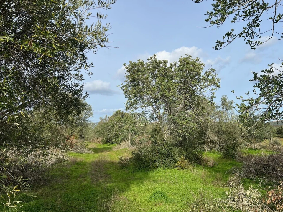 Terreno para Venda em Paderne Foto 10