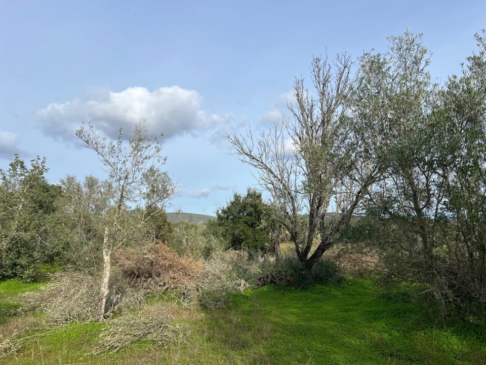 Terreno para Venda em Paderne Foto 11
