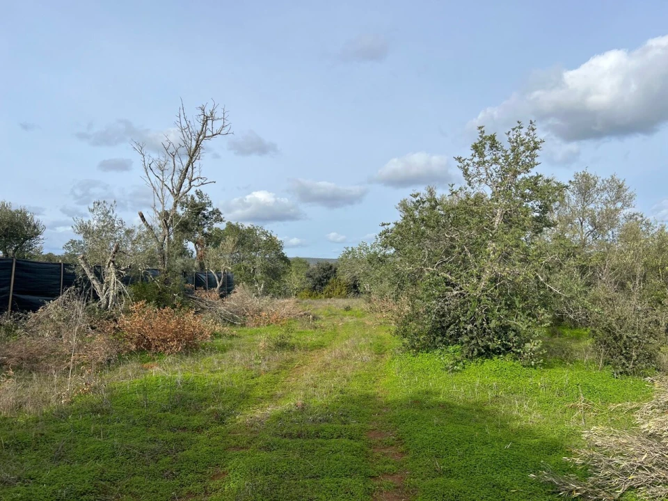 Terreno para Venda em Paderne Foto 12