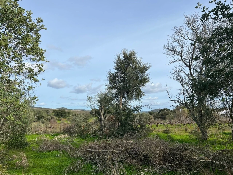 Terreno para Venda em Paderne Foto 16