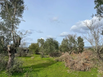 Terreno para Venda em Paderne