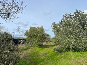 Terreno para Venda em Paderne
