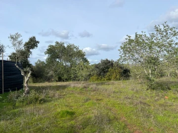 Terreno para Venda em Paderne