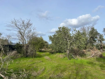 Terreno para Venda em Paderne
