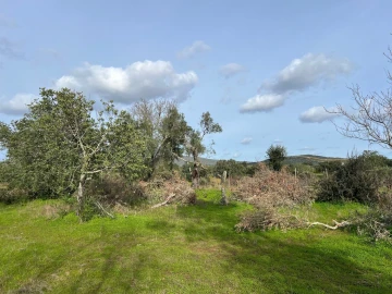 Terreno para Venda em Paderne