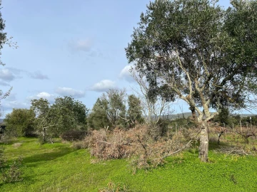Terreno para Venda em Paderne